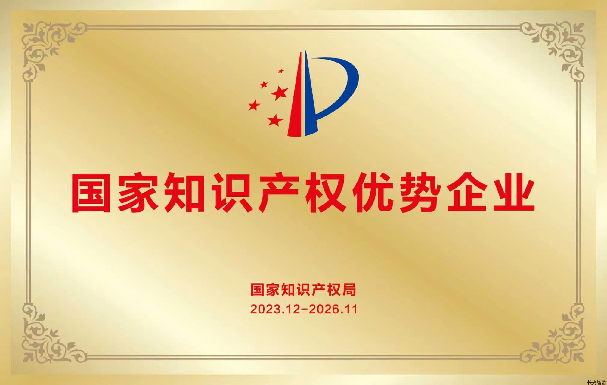 <div style="text-align:center;">
	<strong>国家知识产权优势企业</strong>
</div>