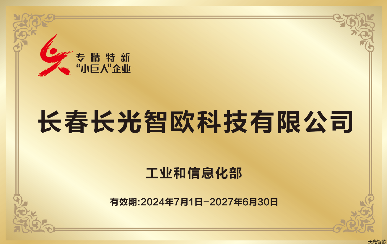 <div style="text-align:center;">
	<strong>专精特新“小巨人”企业</strong>
</div>